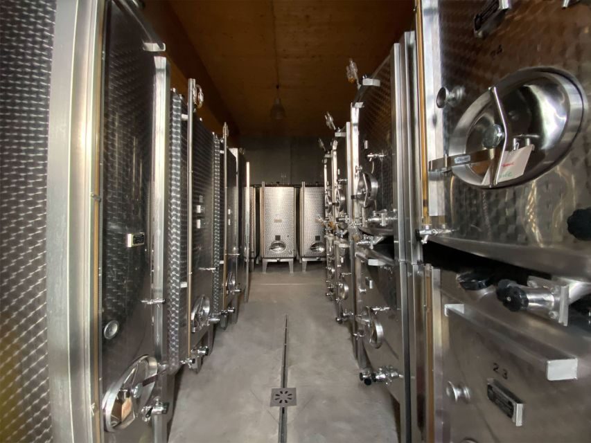 Cellar visit and Alsace wine tasting with a feminine touch - A Closer Look at the Experience