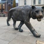 Central Oslo Guided Walking Tour - A Closer Look at the Itinerary