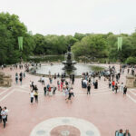 Central Park Highlights: A Scenic Walking Tour - A Detailed Look at What You’ll See and Experience
