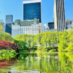 Central Park Pedicab Rides - Authentic Experiences and Genuine Feedback