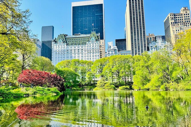 Central Park Pedicab Rides - Authentic Experiences and Genuine Feedback