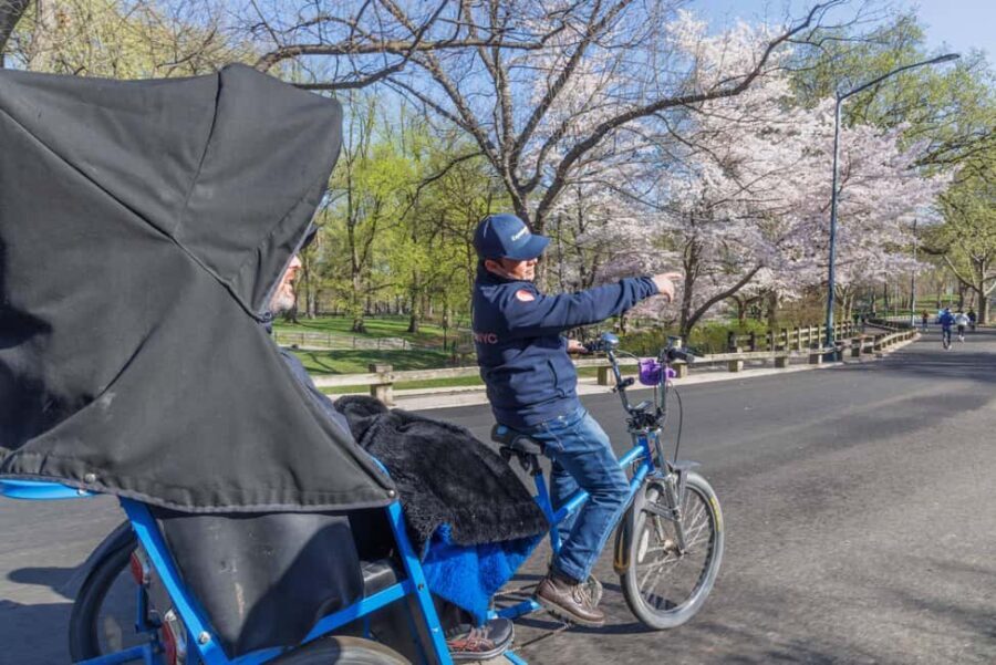Central Park Pedicab Tour + Optional Natural History Access - A Full Breakdown of the Pedicab Tour Experience