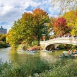 Central Park Private Walking Tour with Transfers - Who Will Love This Tour?