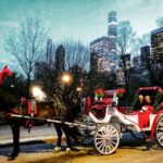 Central Park: Short Horse Carriage Ride (Up to 4 Adults) - Frequently Asked Questions
