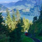 Central Switzerland (Private Tour) - Who Will Love This Tour?