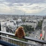 Centre Pompidou: Museum Ticket Entry& 3h Private Guided Tour - Who Will Enjoy This Tour?