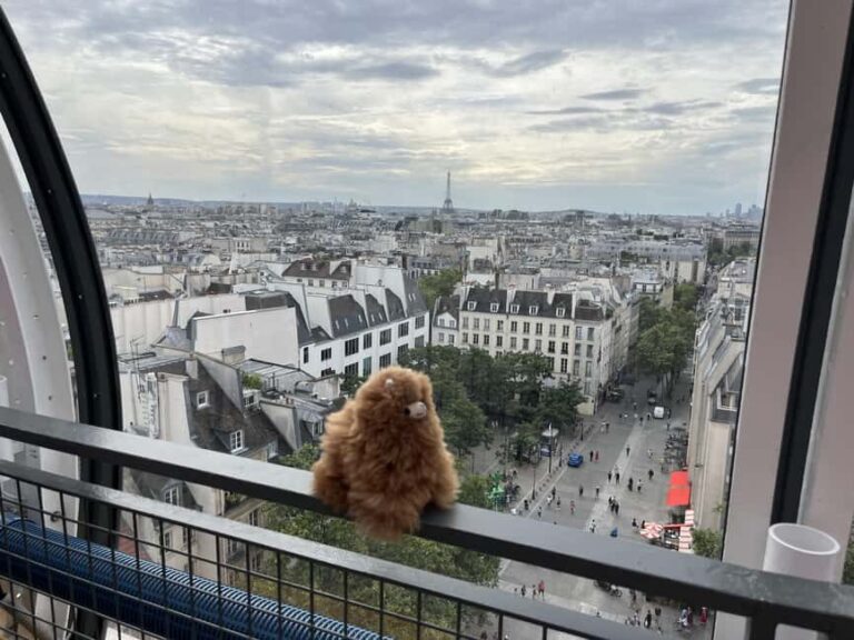 Centre Pompidou: Museum Ticket Entry& 3h Private Guided Tour - Who Will Enjoy This Tour?
