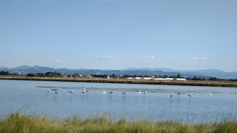 Cervia & Milano Marittima on APE CALESSINO vintage - FAQs