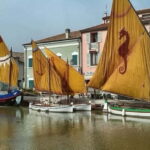Cesenatico: Maritime Museum and Marino Moretti House - Who Will Appreciate This Tour Most?