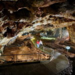 Cetinje: Lipa Cave Entrance Ticket with Guided Tour - Who Should Consider This Tour?