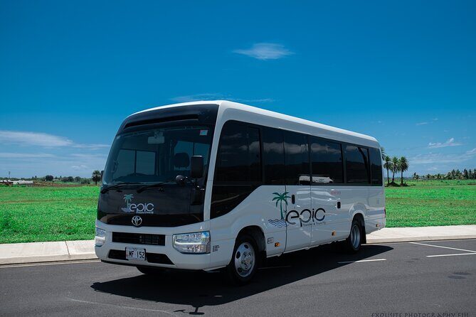 CFC APPROVED Private Arrival Transfer - Nadi Airport to Hotel - Final Thoughts