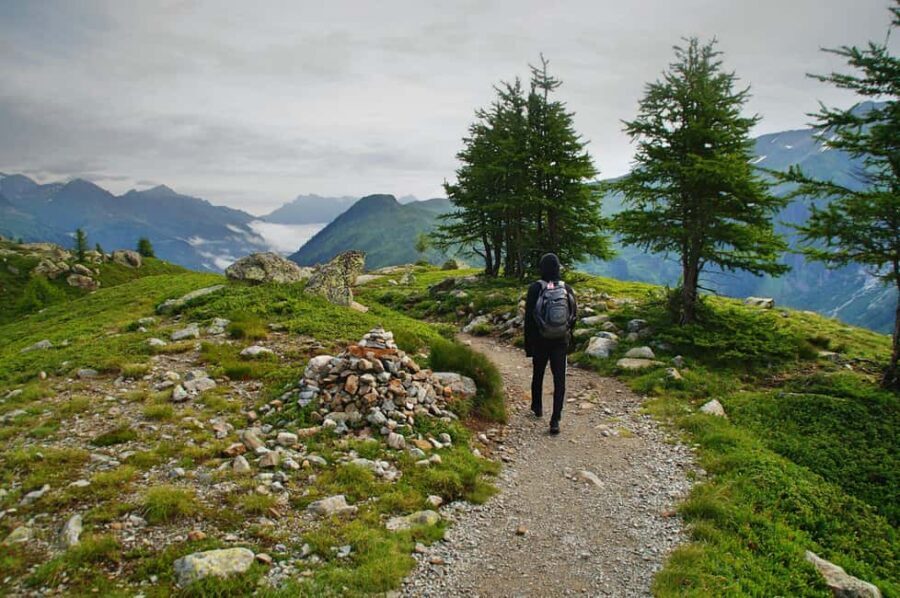 Chamonix: Hike and taste local products facing Mont Blanc - A Closer Look at the Experience