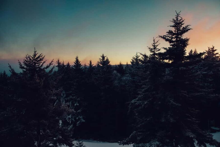 Chamonix: Snowshoeing under the stars - What to Expect on the Tour