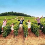 Champagne Albert Beerens Tour & Tasting - FAQ