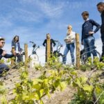 Champagne: E-Bike Champagne Day Tour with Tastings and Lunch - What Makes This Tour Stand Out?