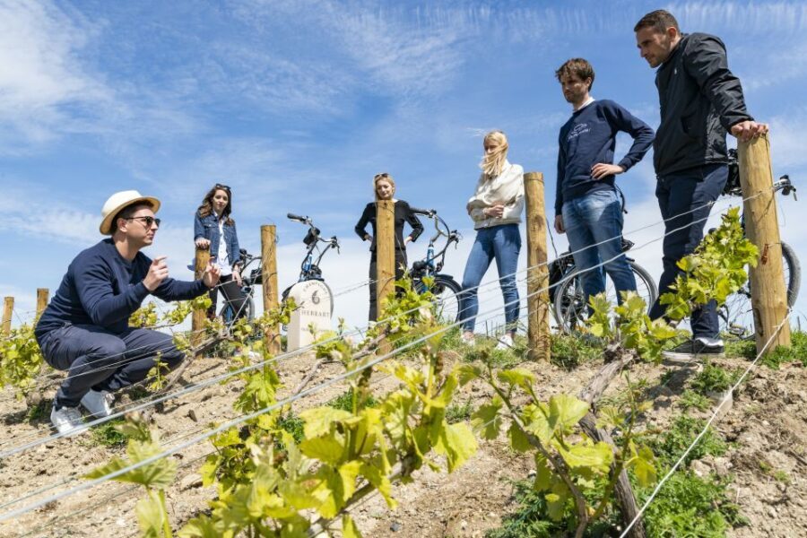 Champagne: E-Bike Champagne Day Tour with Tastings and Lunch - What Makes This Tour Stand Out?