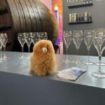 Champagne Private Day Trip: Epernay & Reims 9 glasses - How This Tour Brings Value