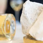 Champagne Vincent d'Astrée: Blanc de Blancs Workshop - Why This Experience Works for You