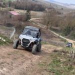Champagne vineyards: 2-hour guided tour of the vineyards in a Buggy - Who Will Love This Tour?