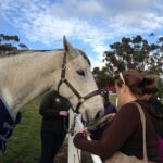 Champion Racehorse Tour with Beer and Wine Tasting - What Makes This Tour Stand Out?
