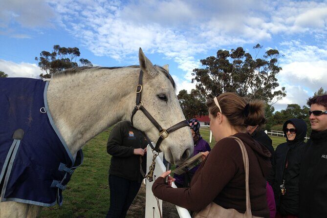 Champion Racehorse Tour with Beer and Wine Tasting - What Makes This Tour Stand Out?