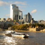 Changing of Guards, Tower of London, Beefeaters & Cruise - What Makes This Tour Stand Out