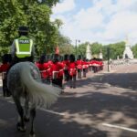 Changing of the Guard & Royal Food Tour with 10+ Tastings - From Sights to Flavors: The Complete Experience