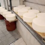 Chania: 7 Villages of Apokoronas Tour with Lunch - The Sum Up