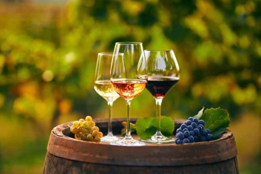 Chania Area: Food Tasting Tour with Winery Visit - Who Would Love This Tour?