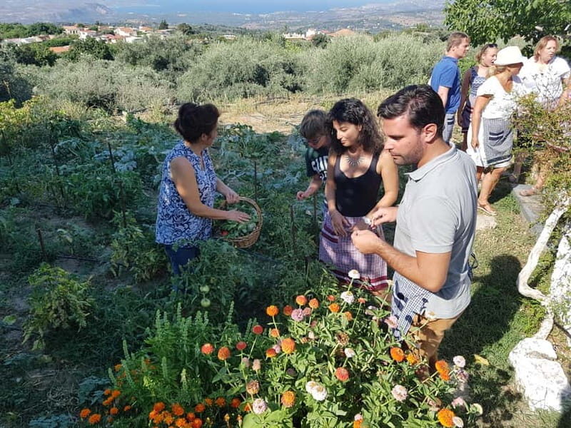 Chania: Cretan Wine, Olive Oil & Cooking Workshop - Who Will Enjoy This Tour?