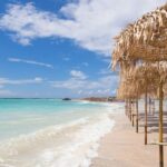 Chania: Elafonisi Beach Day Trip with stop in Elos Village - Who Will Love This Tour?