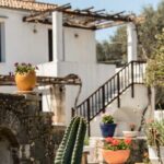 Chania Luxuries: Secrets of Wine and Olive Oil Tastings - Practical Tips for Potential Travelers