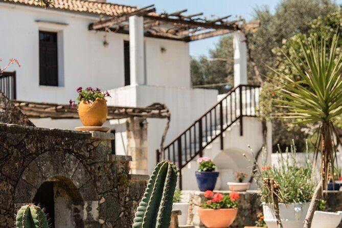 Chania Luxuries: Secrets of Wine and Olive Oil Tastings - Practical Tips for Potential Travelers