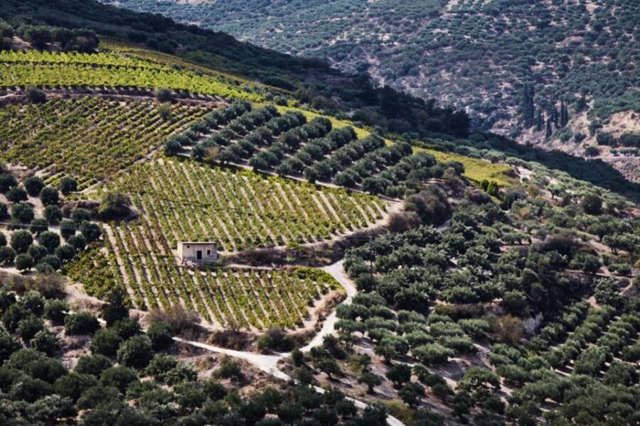 Chania Luxuries: Secrets of Wine and Olive Oil Tastings - Itinerary Breakdown