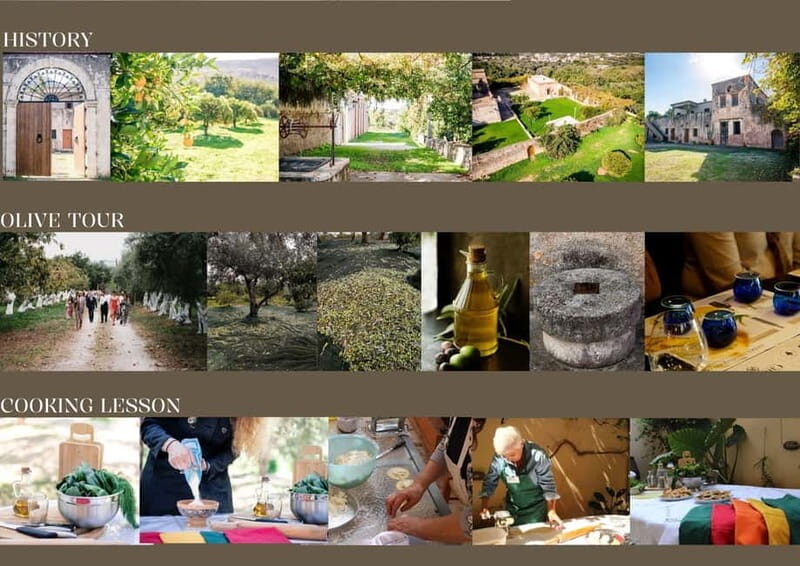 Chania: Olive Oil Tasting & Cooking Class at Metohi Istoria - The Sum Up