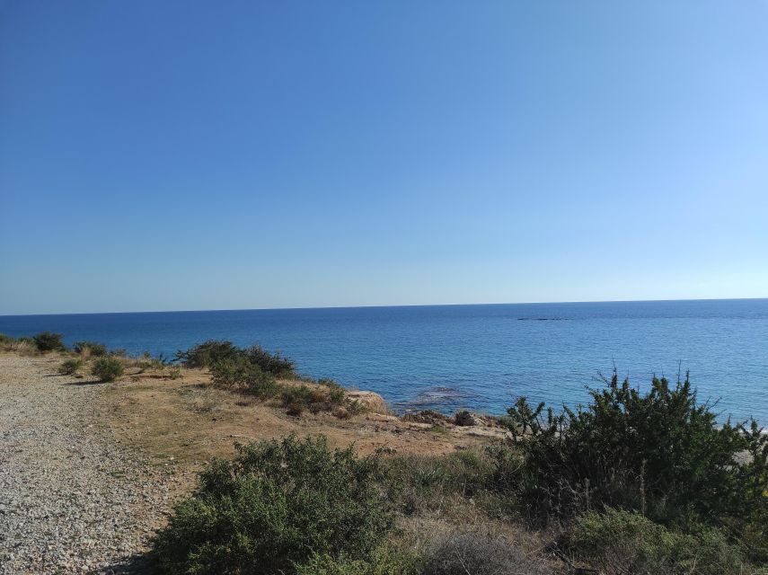 Chania Pink Sand Beaches Private Tour: Elafonisi & Falasarna - Practical Considerations