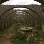 Chania Private Olive Oil Tour: Oil Tasting & Villages Tour - An In-Depth Look at the Tour Experience