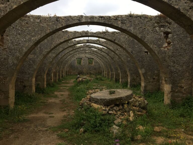Chania Private Olive Oil Tour: Oil Tasting & Villages Tour - An In-Depth Look at the Tour Experience
