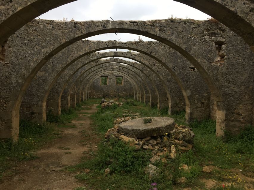 Chania Private Olive Oil Tour: Oil Tasting & Villages Tour - An In-Depth Look at the Tour Experience