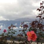 Chania: Private Sunset Sightseeing Tour with Historian Guide - Why This Tour Works Well