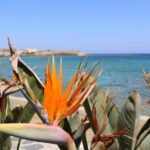 Chania: Private Walking Tour: History, Sights, Food & Senses - A Deep Dive into the Chania Walking Tour
