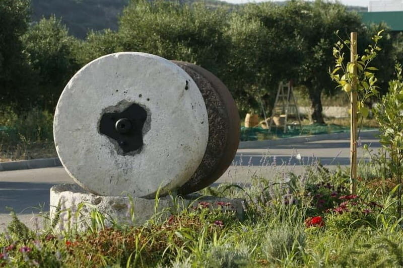 Chania: Pure Cretan Olive Oil, Wine, & Beer Experience - What We Love and What to Consider