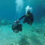 Chania: Scuba Diving for Beginners - Why This Tour Offers Great Value