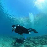 Chania :Scuba Diving for Beginners-Boat Dive - Who Is This Tour Best For?