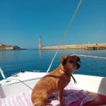 Chania: Self-Drive Boat and another with Skiper 7.50 m - Authentic, Uncrowded, and Fun: The Real Benefits
