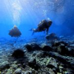 Chania | Try Scuba Diving | Private Introduction Dive - The Value of This Experience