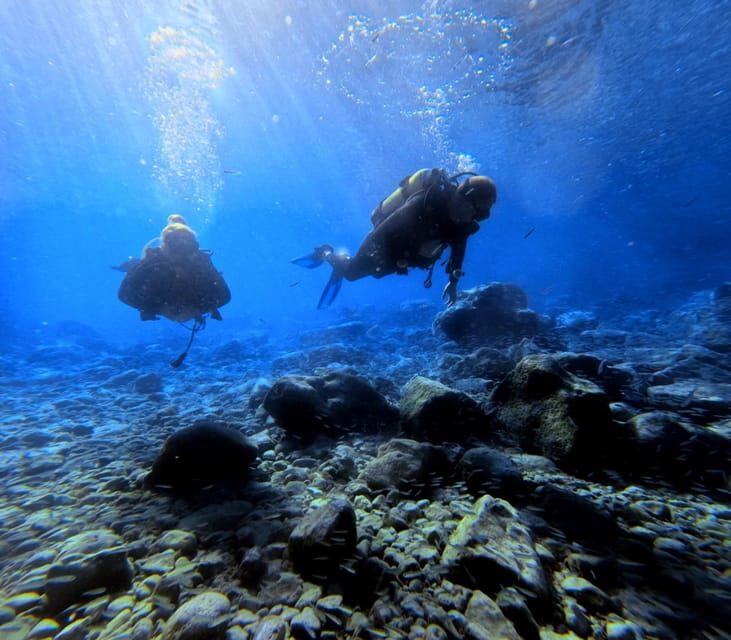 Chania | Try Scuba Diving | Private Introduction Dive - The Value of This Experience