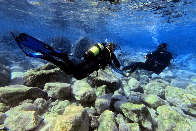 Chania | Try Scuba Diving | Private Introduction Dive - Why This Experience Offers Good Value