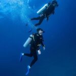 Chania:Try Scuba Diving 2shore dives(Receive Certification) - What to Expect: Step-by-Step