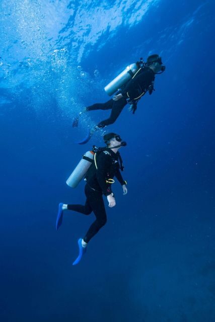 Chania:Try Scuba Diving 2shore dives(Receive Certification) - What to Expect: Step-by-Step